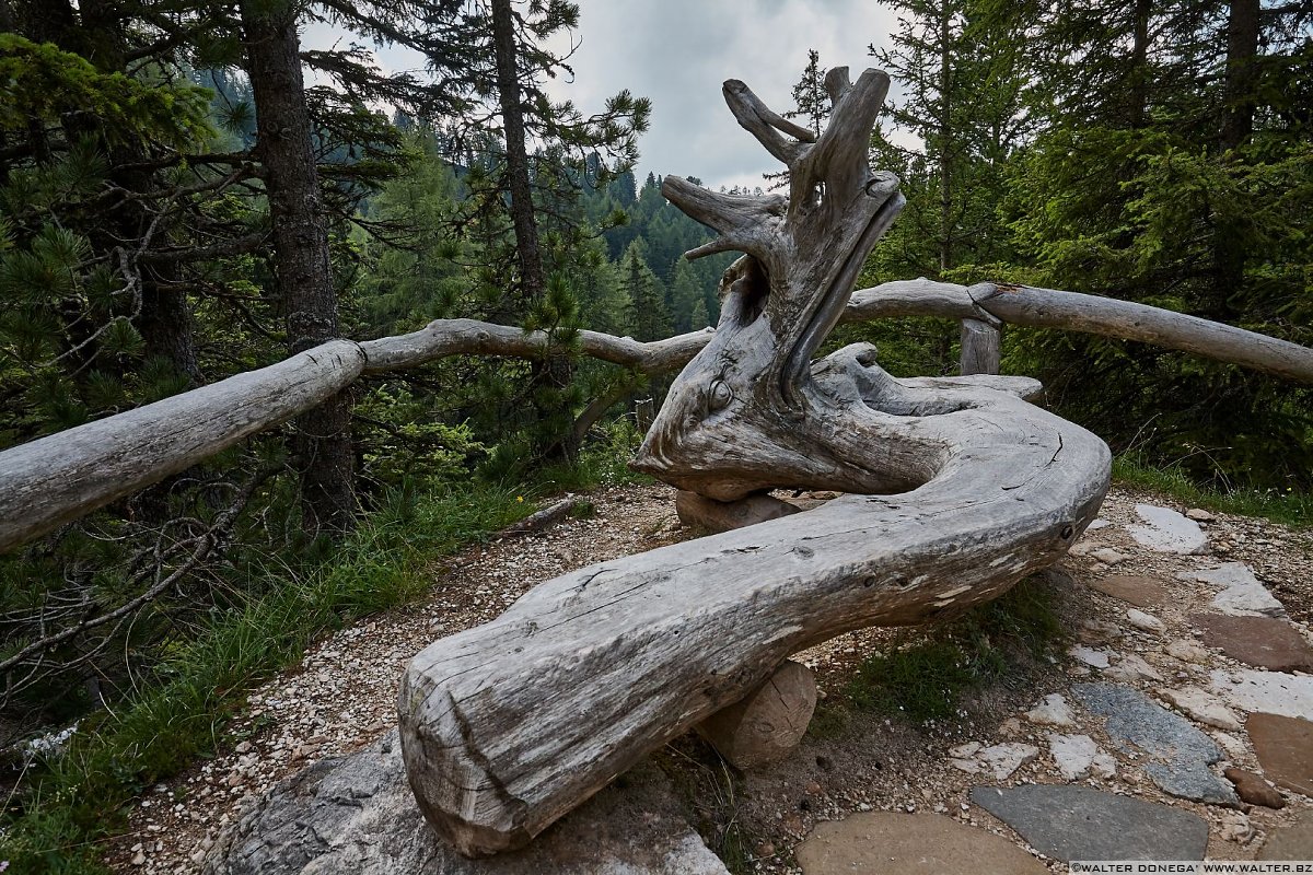  Escursione alla malga Haniger Schweige ai piedi del Catinaccio