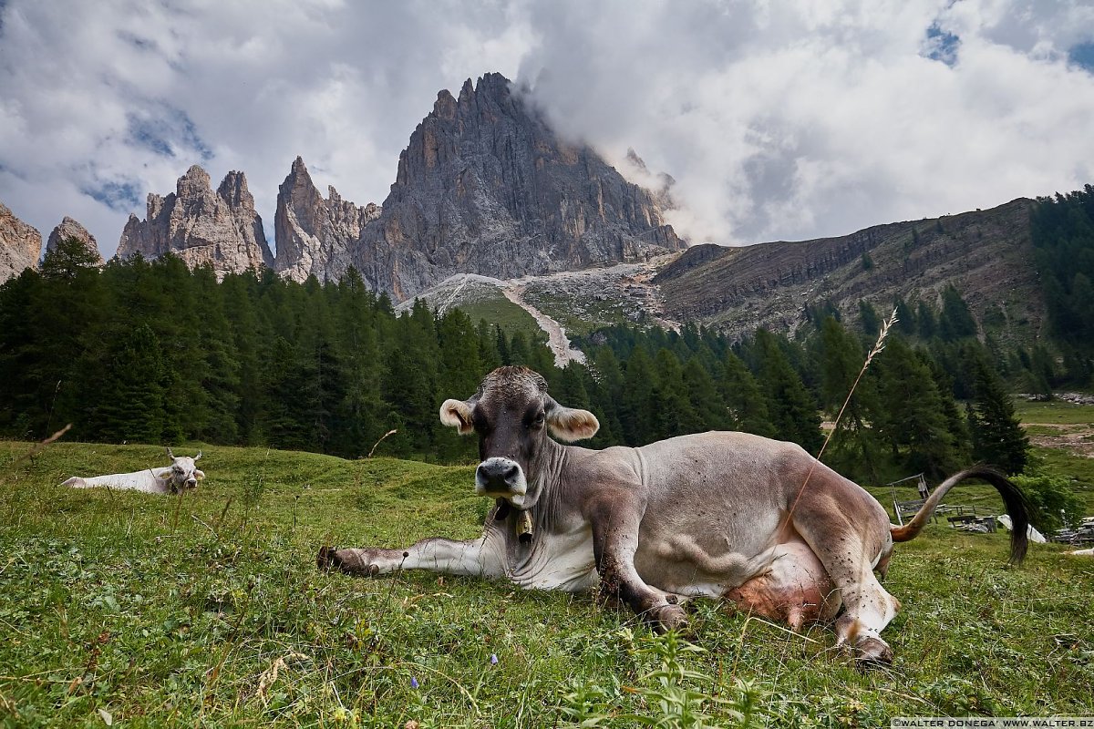  Escursione alla malga Haniger Schweige ai piedi del Catinaccio