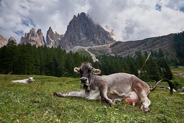 Escursione alla malga Haniger Schweige ai piedi del Catinaccio