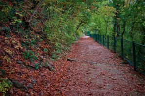 Indian summer a Bolzano