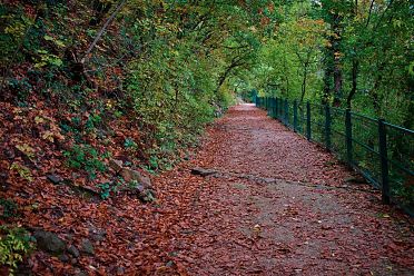 Indian summer a Bolzano