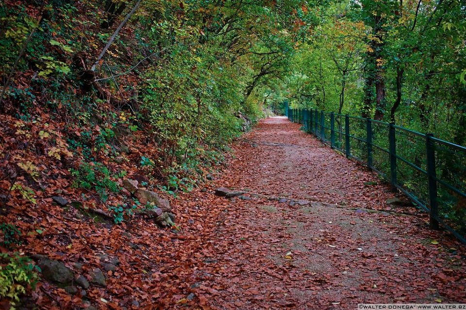 01 Indian summer a Bolzano