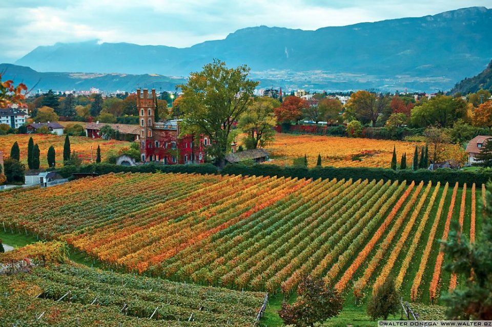 12 Indian summer a Bolzano