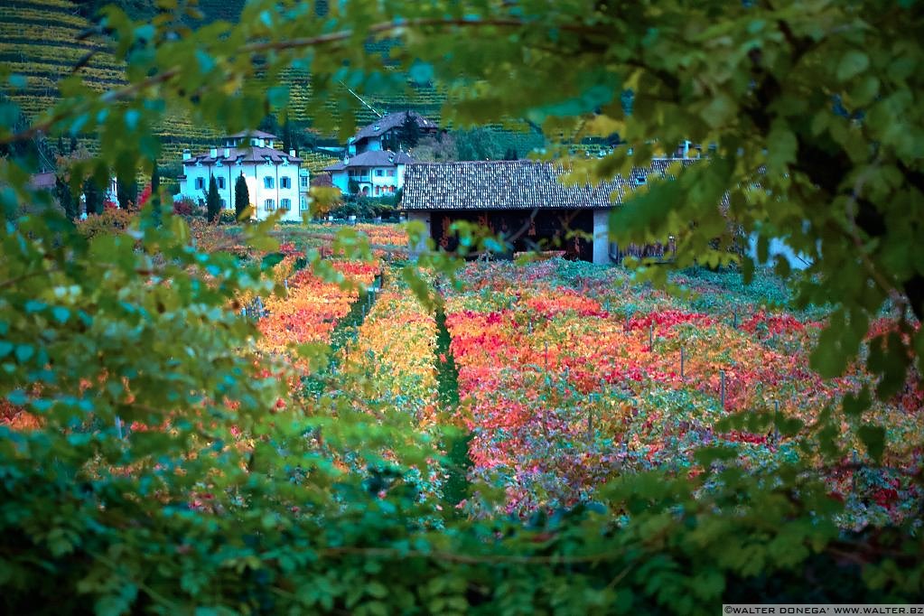 15 Indian summer a Bolzano