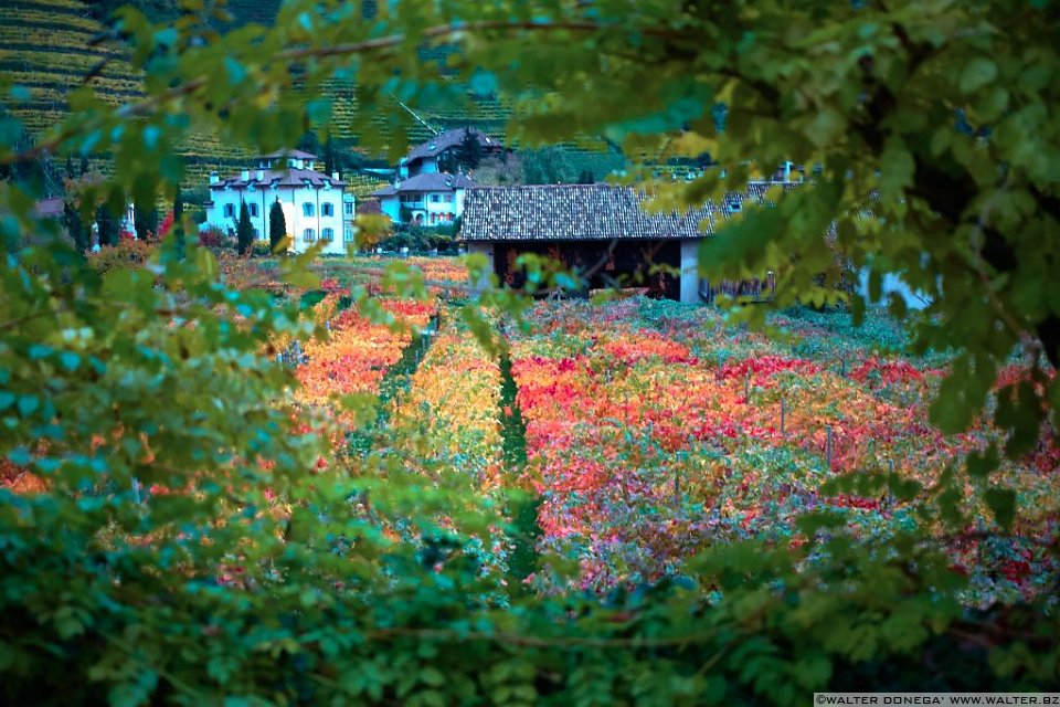 15 Indian summer a Bolzano