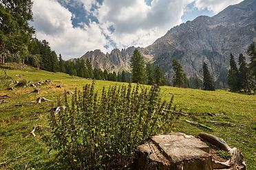 Escursione al labirinto del Latemar - Labyrintensteig