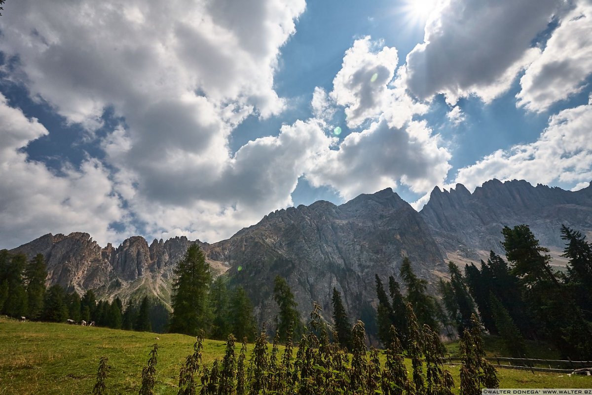  Escursione al labirinto del Latemar - Labyrintensteig