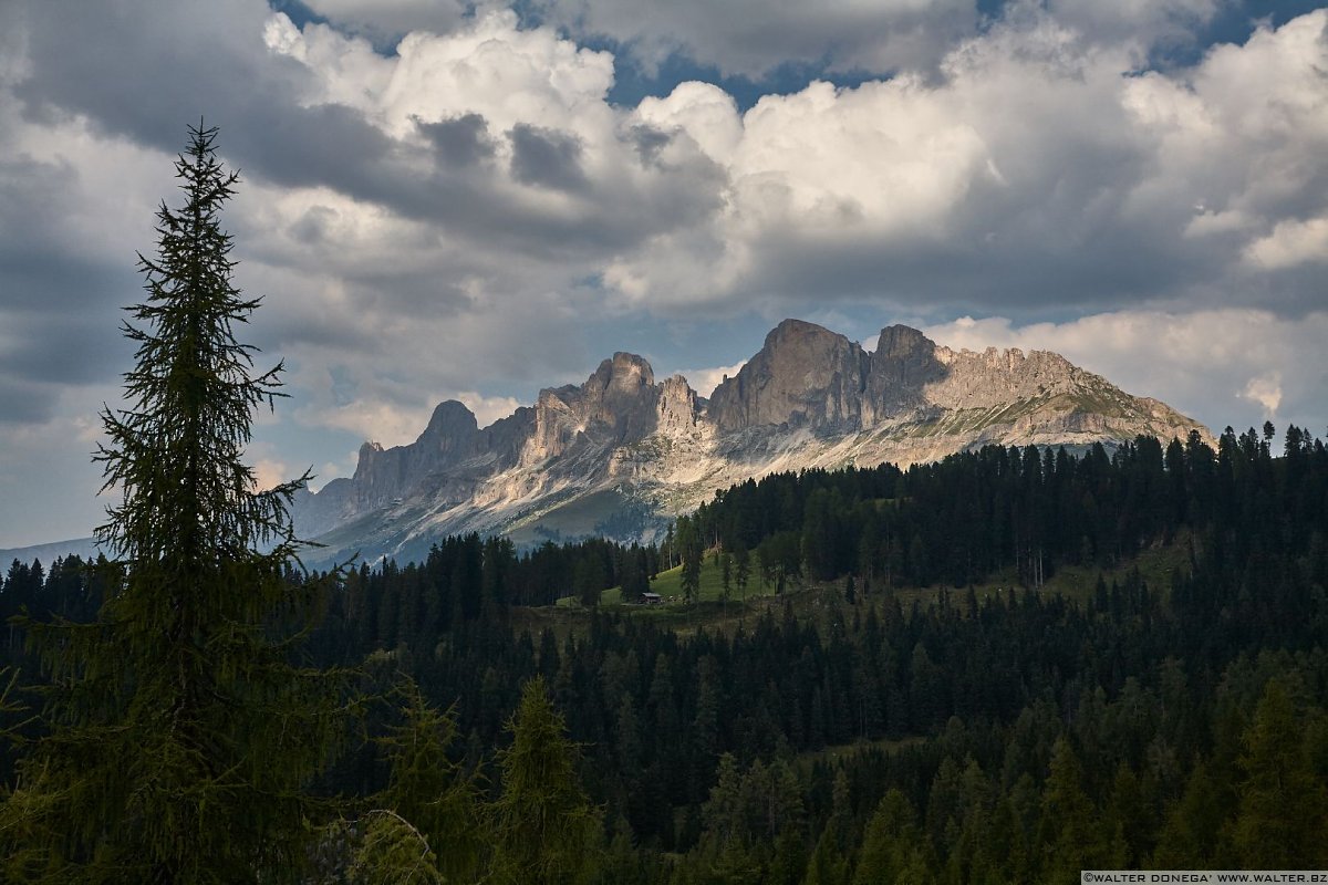 Catinaccio Rosengarten Escursione al labirinto del Latemar - Labyrintensteig