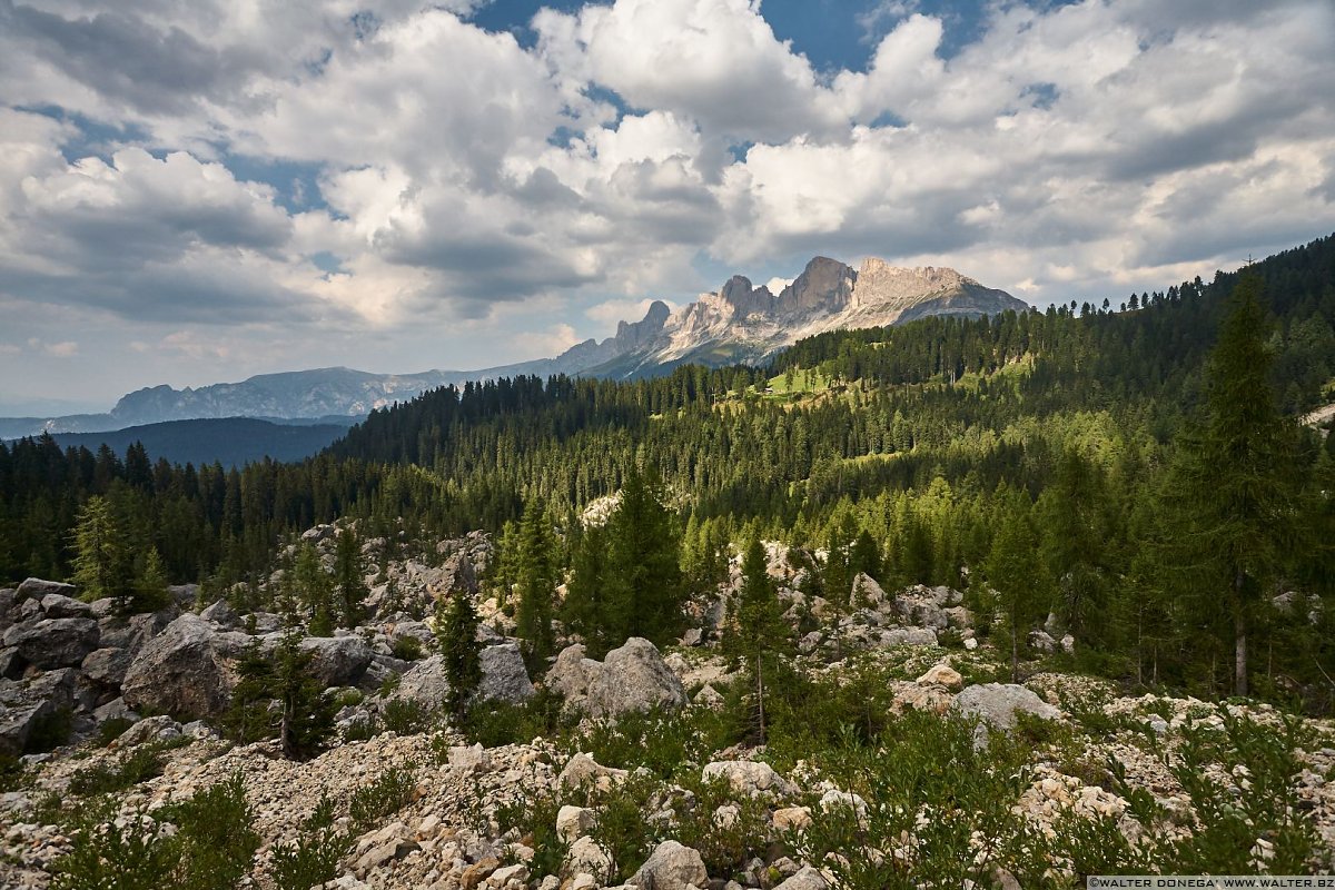  Escursione al labirinto del Latemar - Labyrintensteig