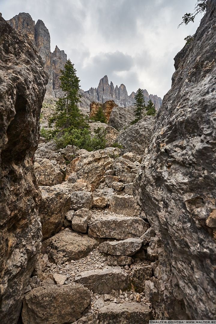  Escursione al labirinto del Latemar - Labyrintensteig