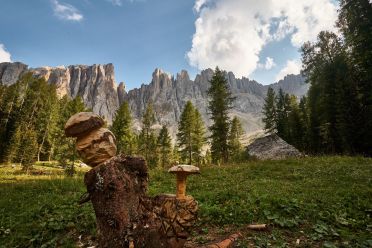 Escursione al labirinto del Latemar - Labyrintensteig
