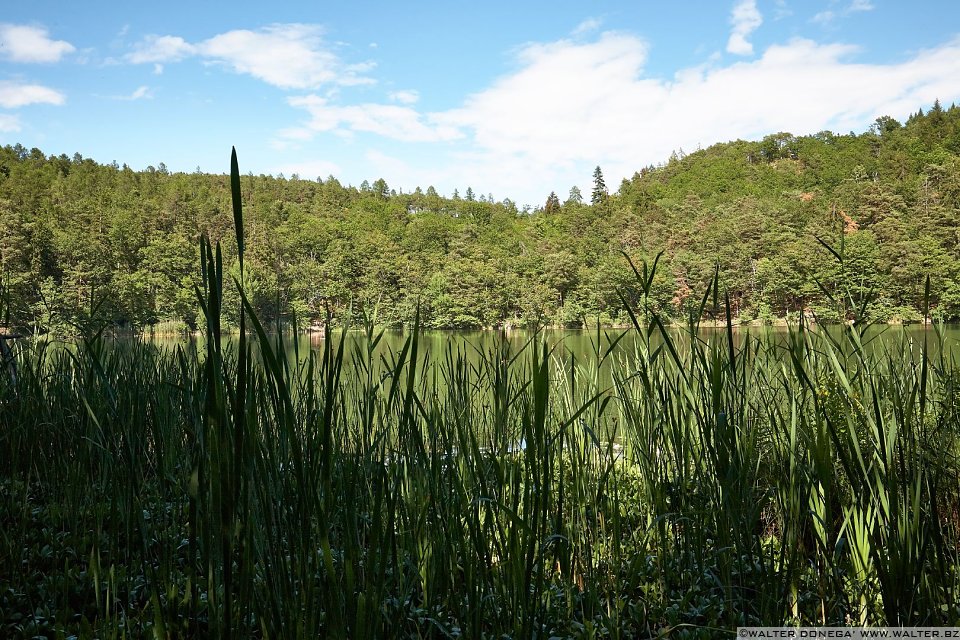 Laghi di Monticolo