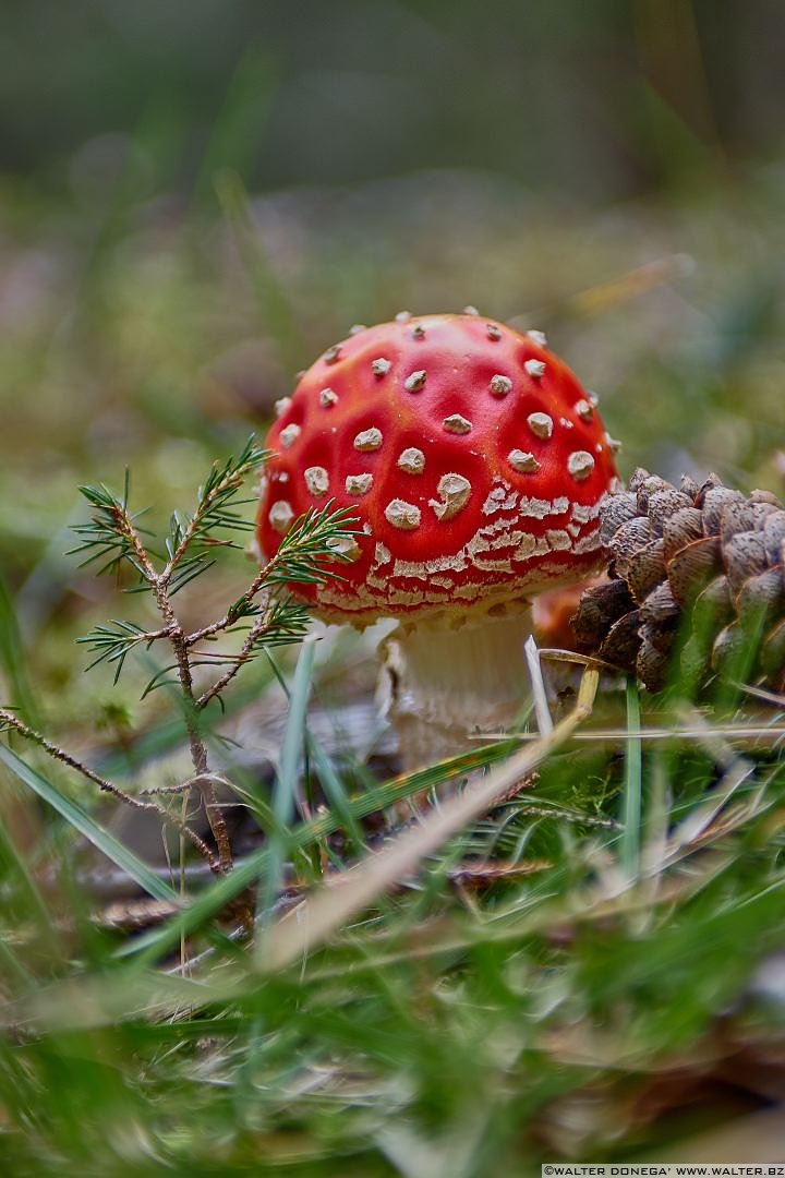  Escursione in valle di Anterselva