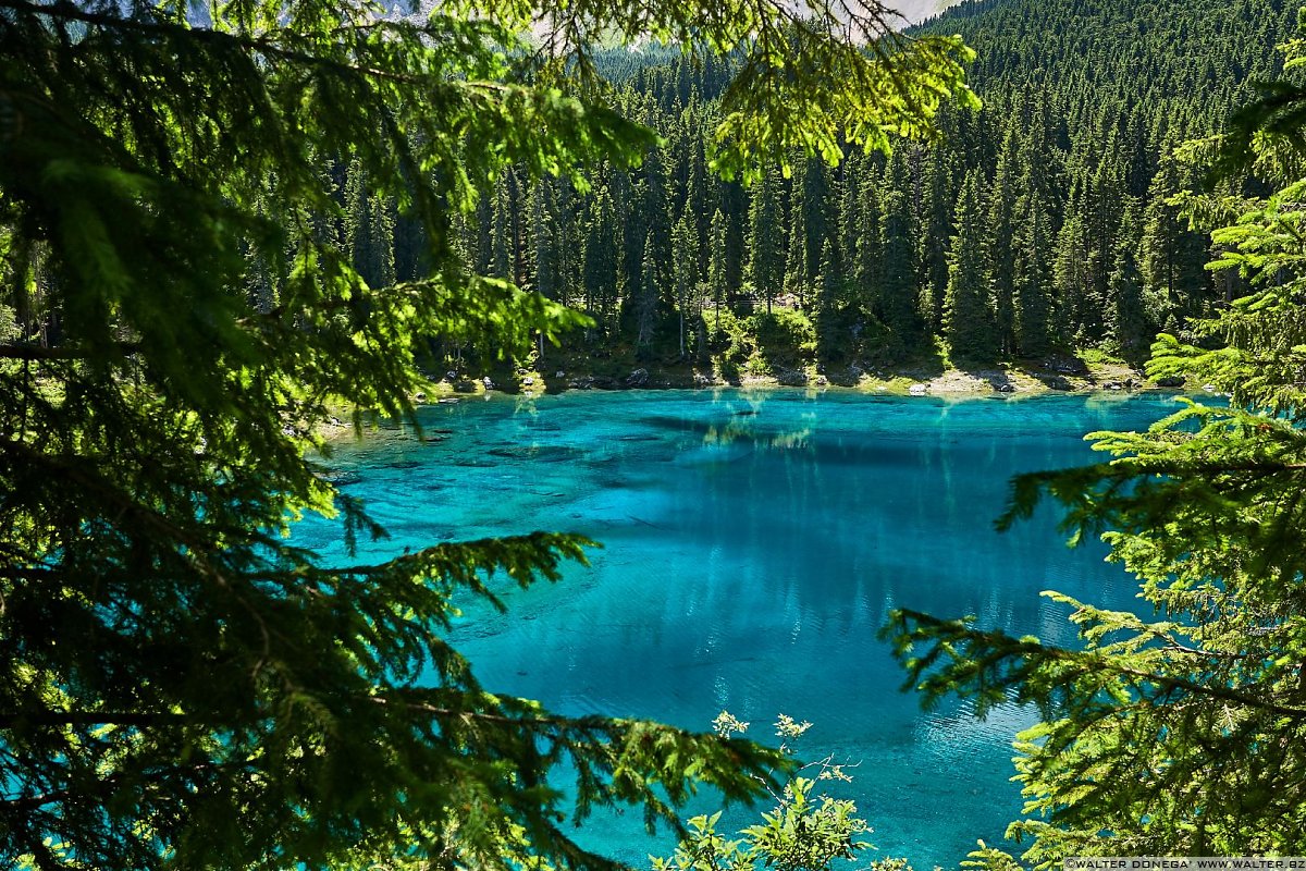 Il lago di Carezza Lago di Carezza in primavera