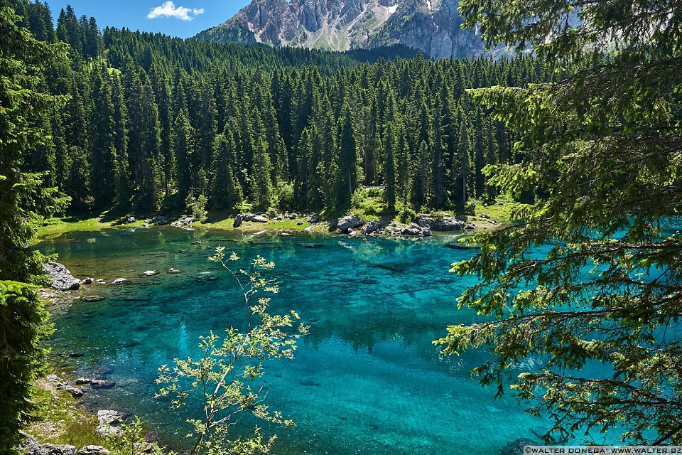 Il Lago di Carezza e sullo sfondo il massiccio Dolomitico del Latemar Lago di Carezza in primavera