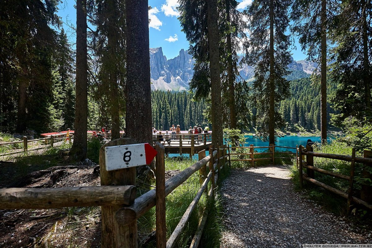 Area panoramica Lago di Carezza in primavera