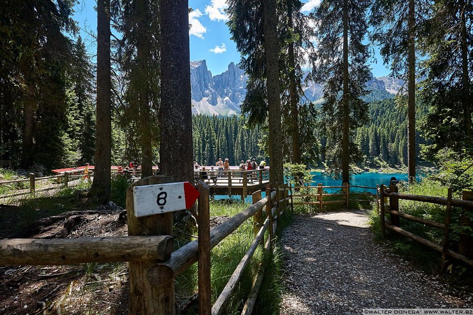 Area panoramica Lago di Carezza in primavera