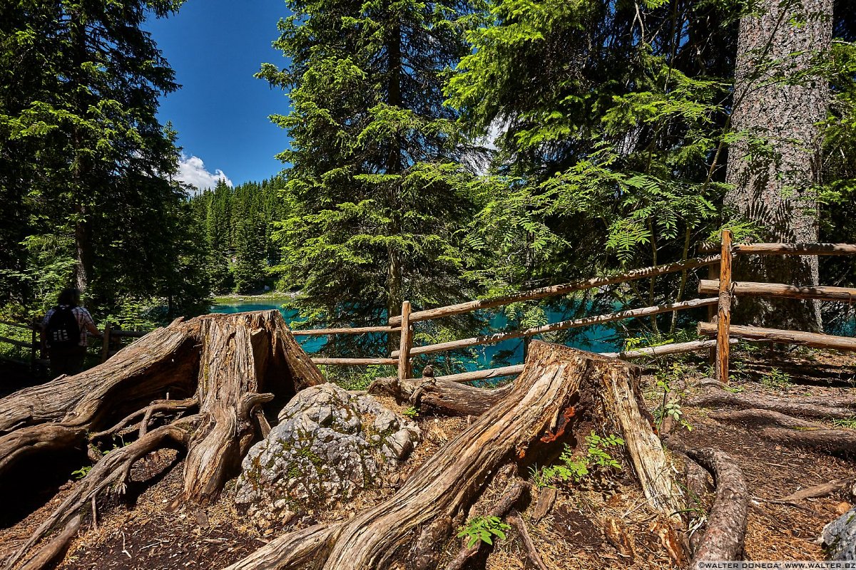 Radici Lago di Carezza in primavera