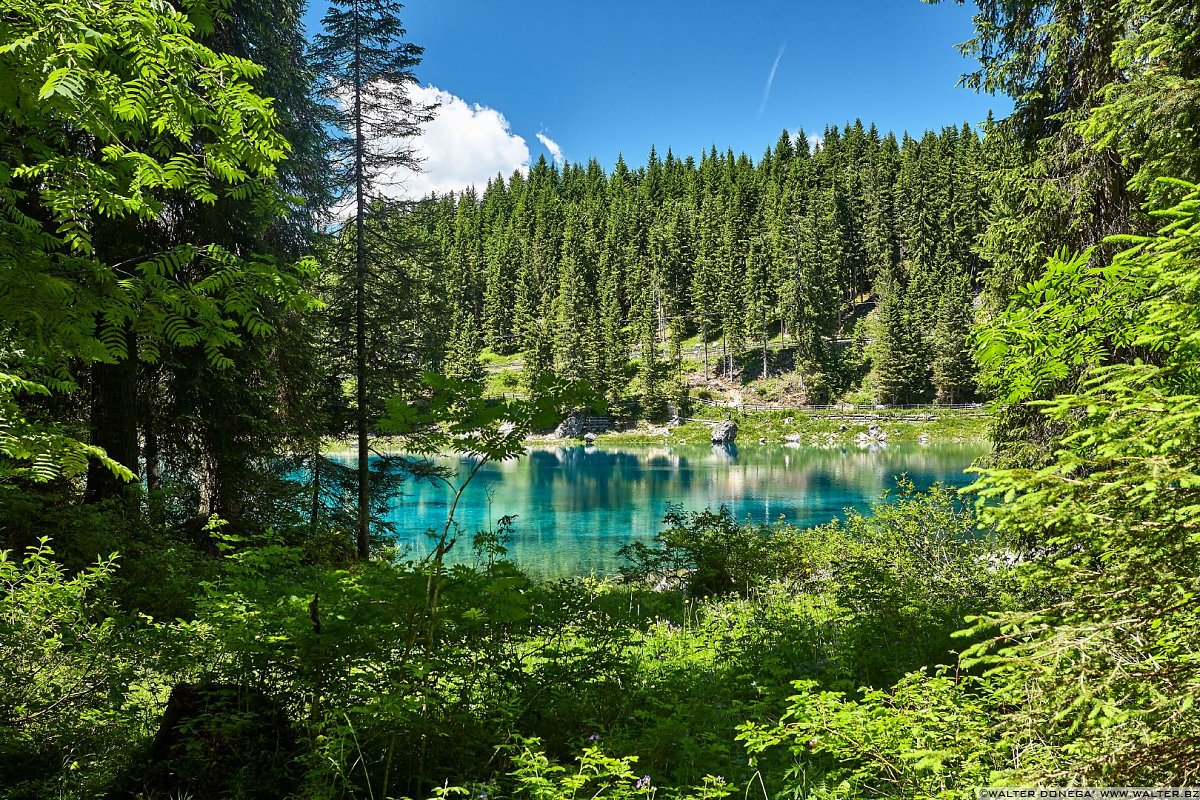  Lago di Carezza in primavera