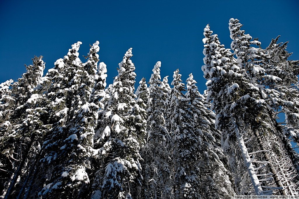 02 Lago di Carezza e passo Costalunga in mezzo alla neve