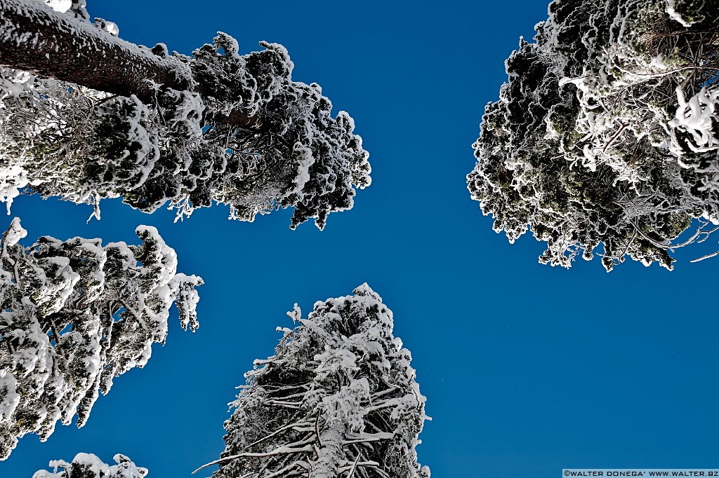 03 Lago di Carezza e passo Costalunga in mezzo alla neve