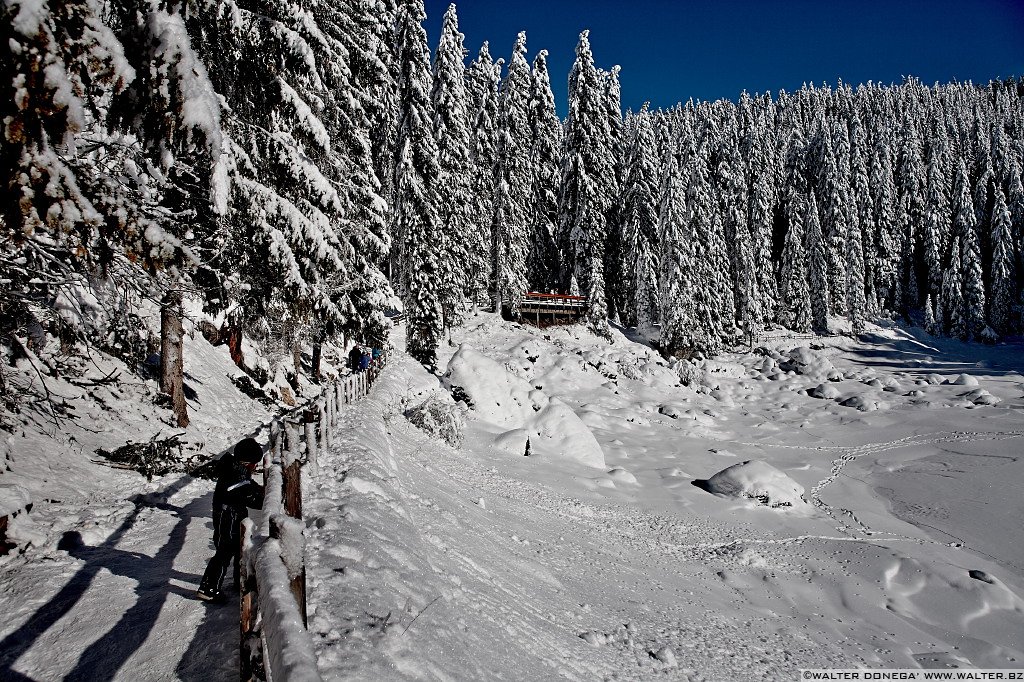 13 Lago di Carezza e passo Costalunga in mezzo alla neve