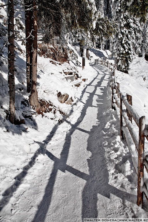 16 Lago di Carezza e passo Costalunga in mezzo alla neve