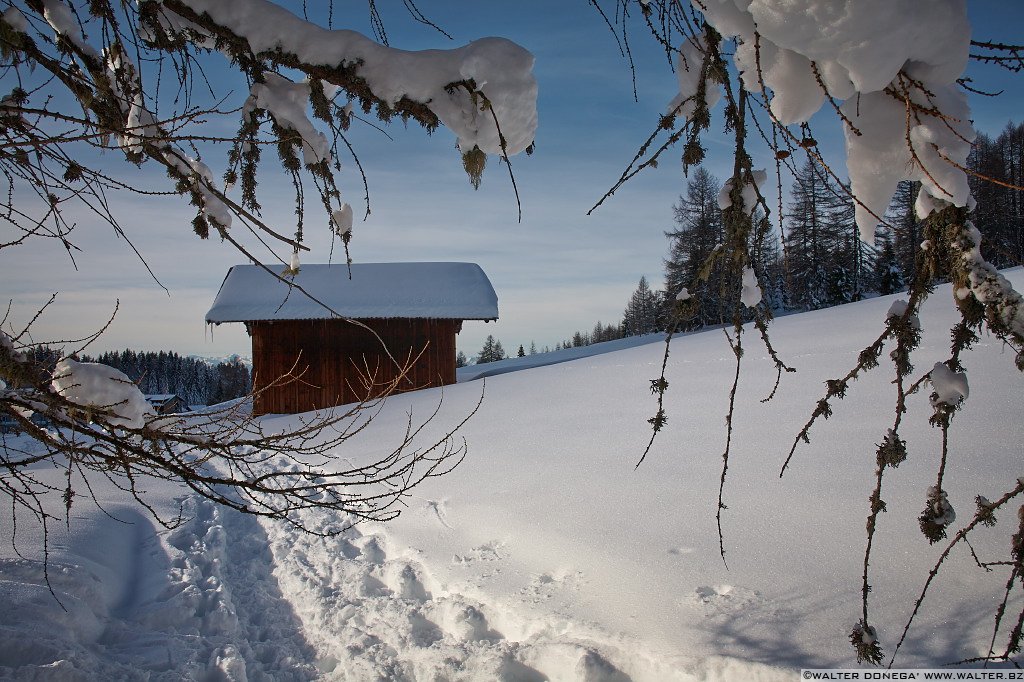 21 Lago di Carezza e passo Costalunga in mezzo alla neve