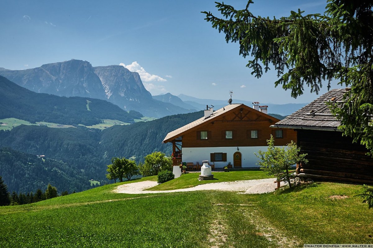 Lungo il sentiero 34 sullo sfondo il Pez, lo sciliar e piccolo Sciliar. In lontananza il Corno Bianco. Laion Val Gardena