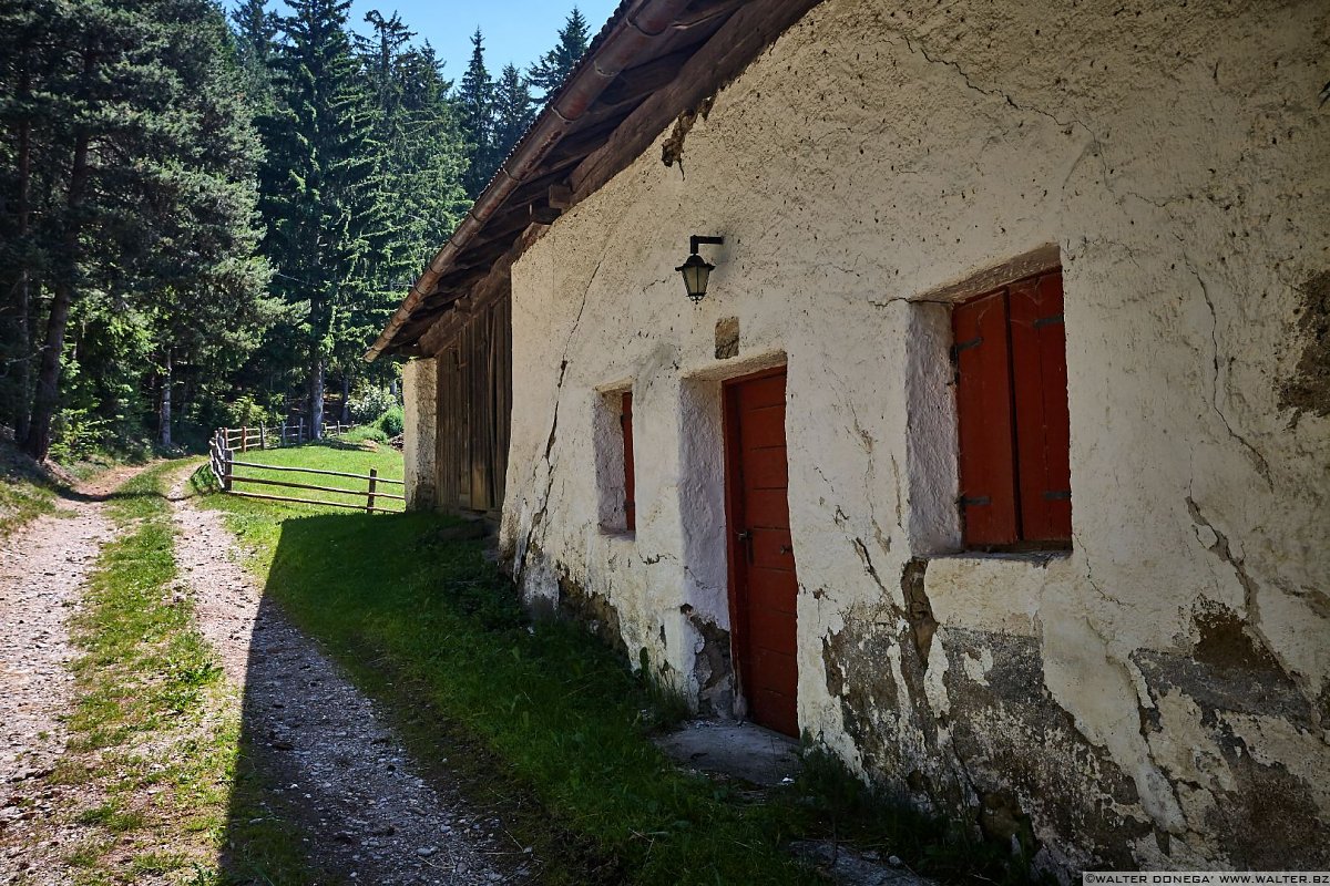 Lungo il sentiero 34 Laion Val Gardena