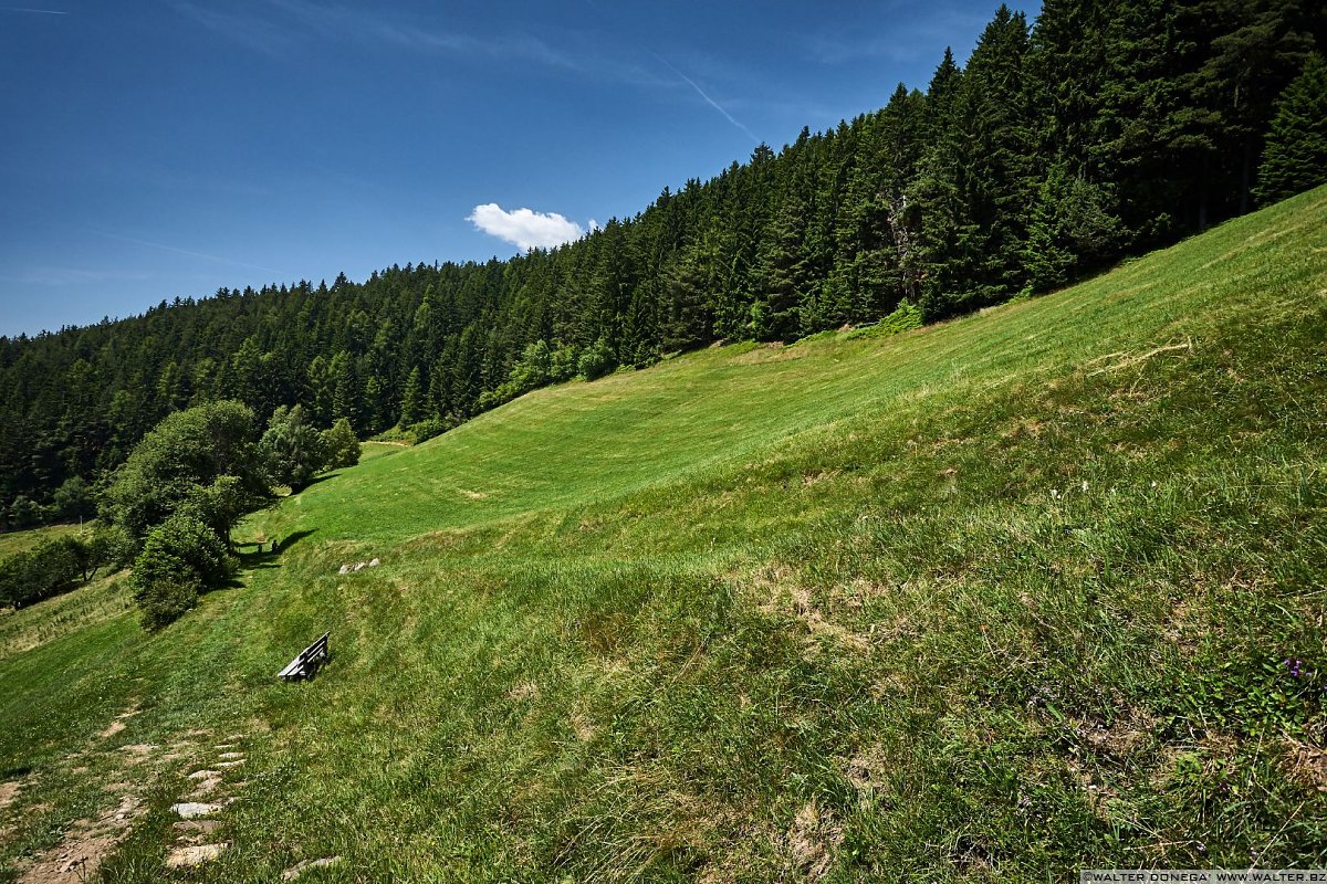 Verdi prati da attraversare Laion Val Gardena