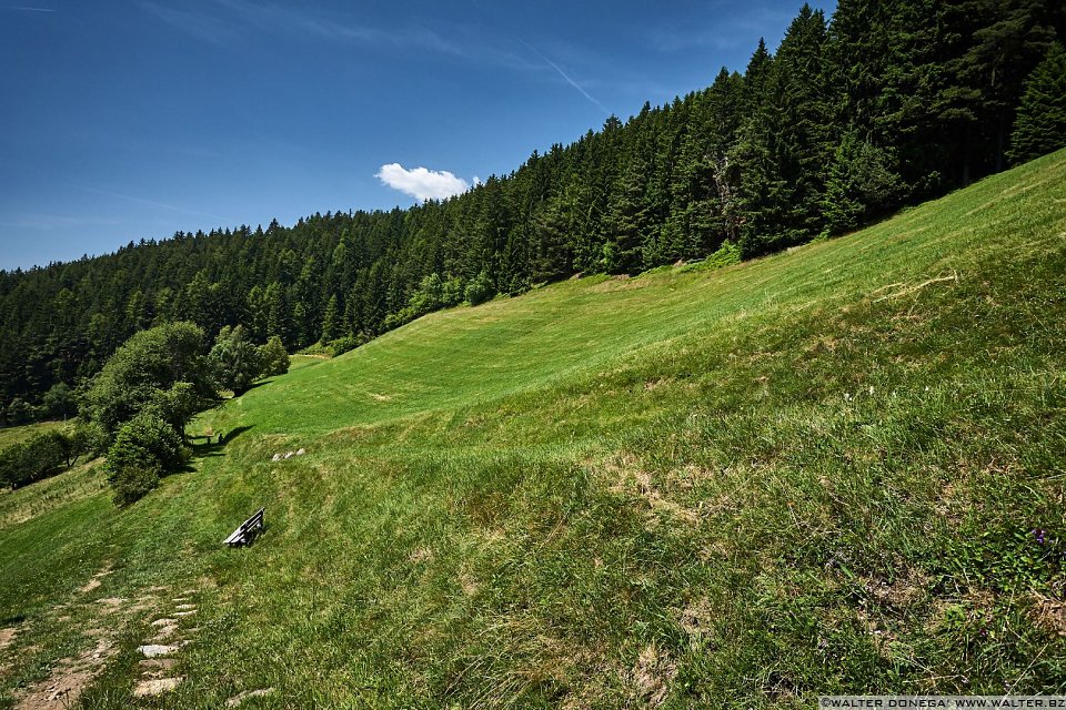 Verdi prati da attraversare Laion Val Gardena