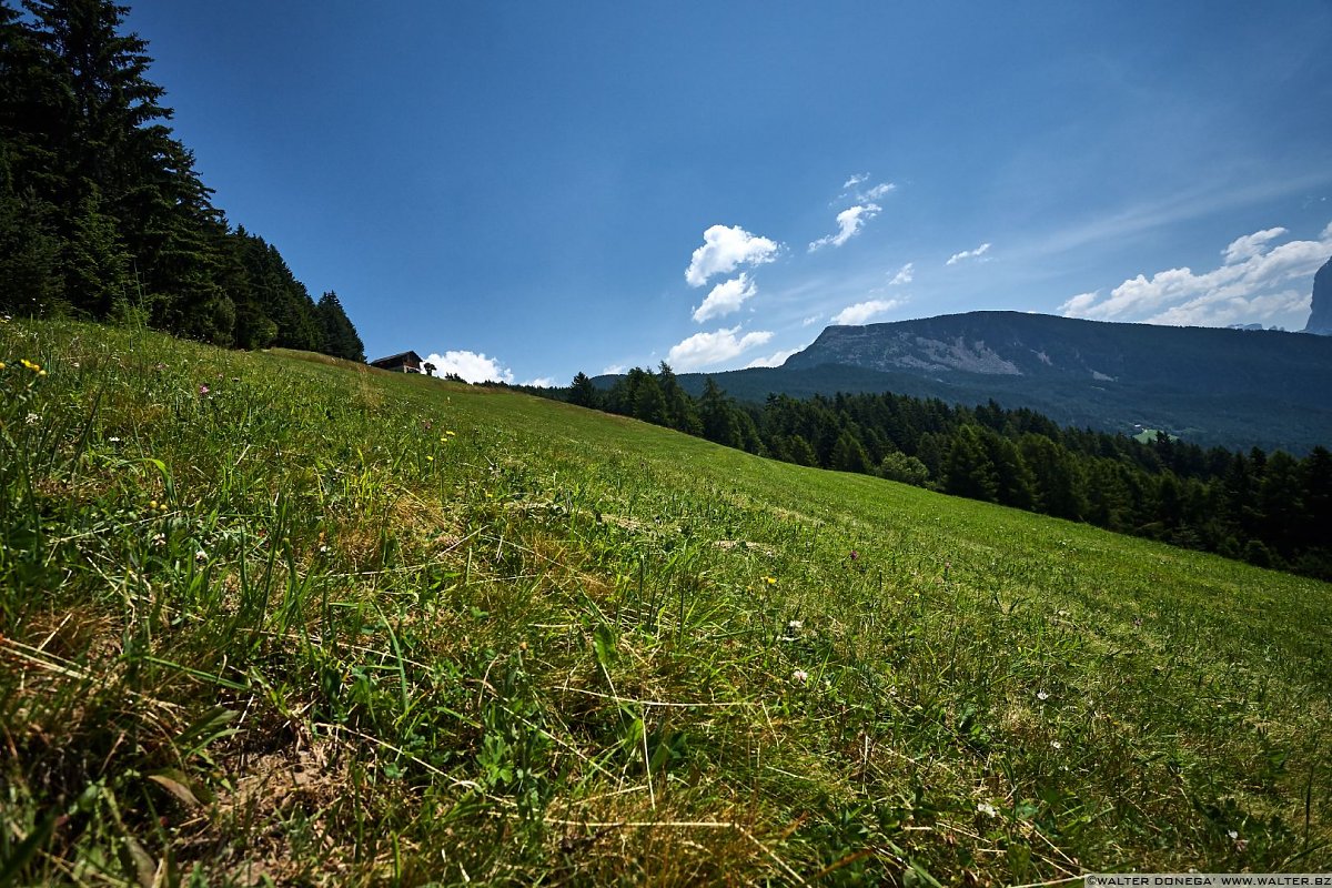  Laion Val Gardena