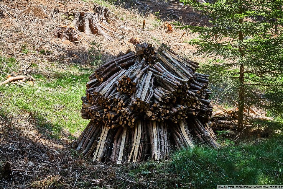Una tipica catasta di legna Laion Val Gardena
