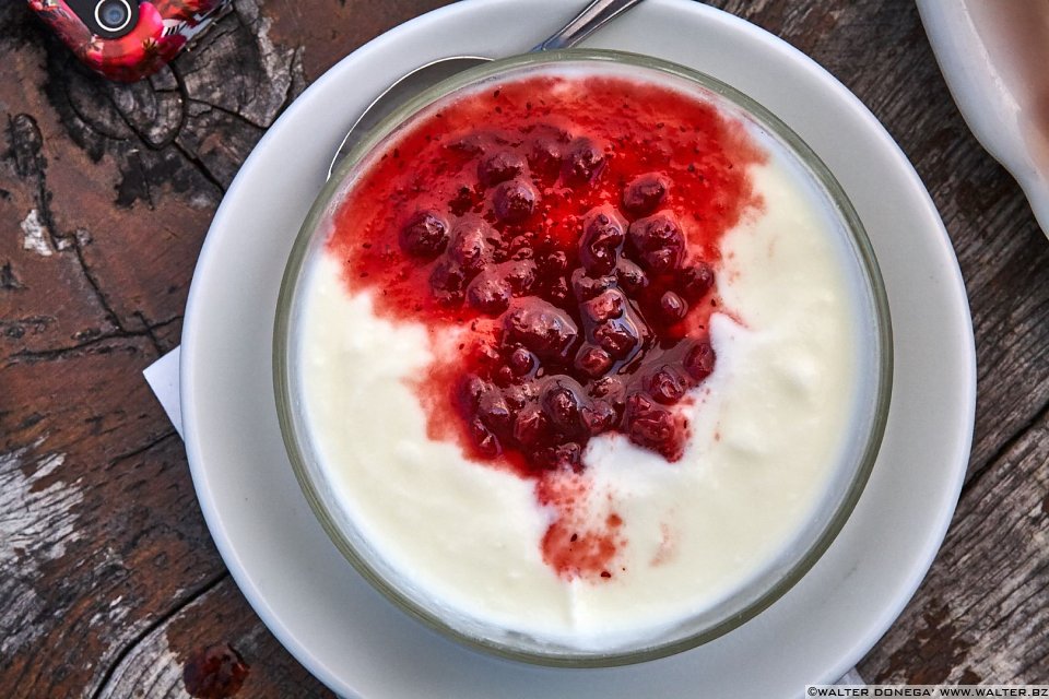 Yoghurt fresco e mirtilli Laion Val Gardena