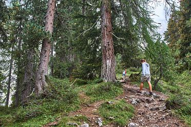Escursione a Malga Casnago sul sentiero delle Odle