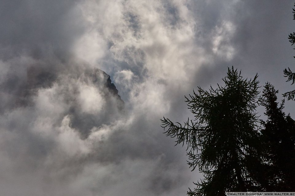 Escursione a Malga Casnago sul sentiero delle Odle