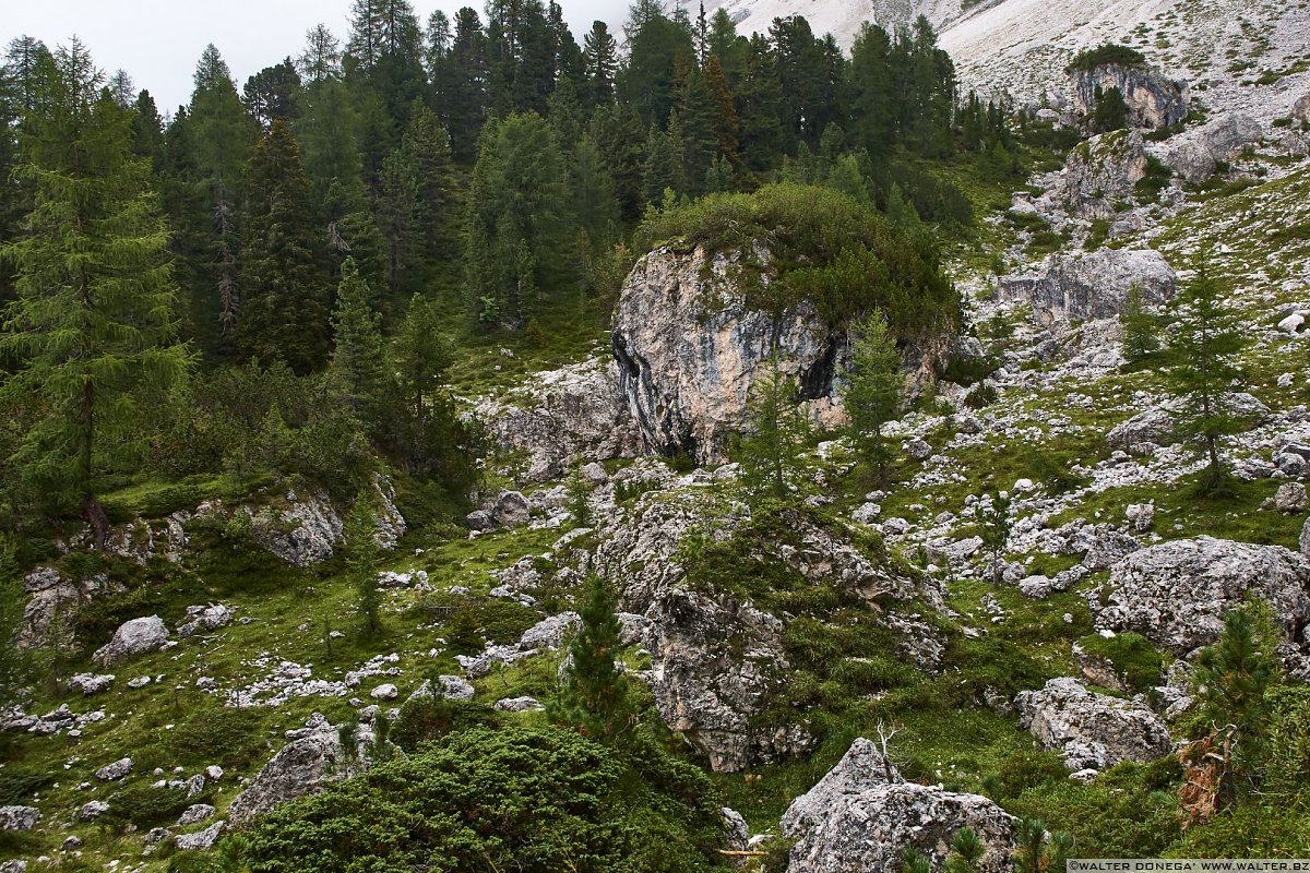  Escursione a Malga Casnago sul sentiero delle Odle