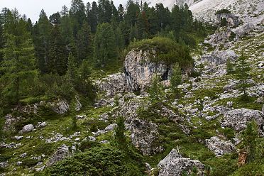 Escursione a Malga Casnago sul sentiero delle Odle