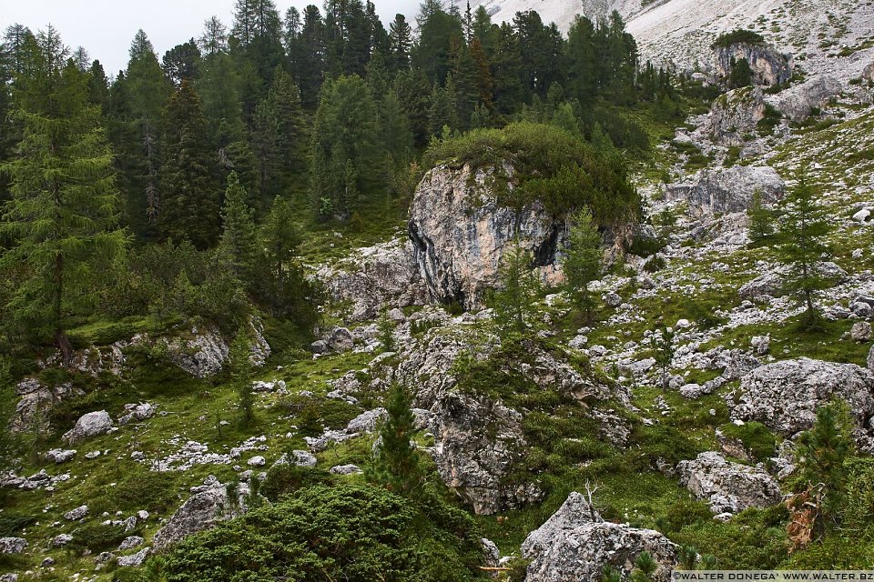 Escursione a Malga Casnago sul sentiero delle Odle
