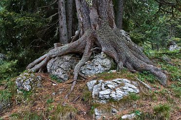 Escursione a Malga Casnago sul sentiero delle Odle