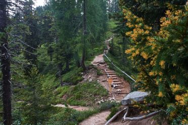 Escursione a Malga Casnago sul sentiero delle Odle