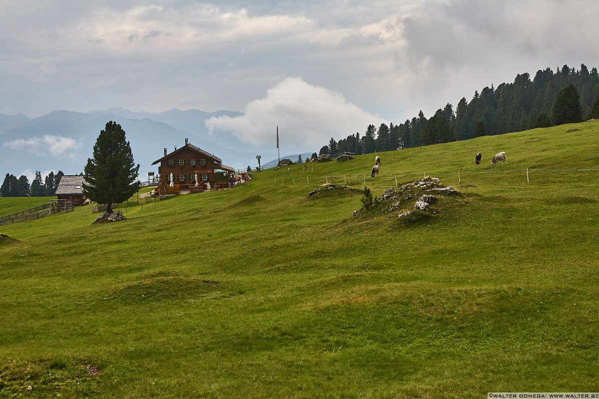 I prati di Malga Casnago Escursione a Malga Casnago sul sentiero delle Odle