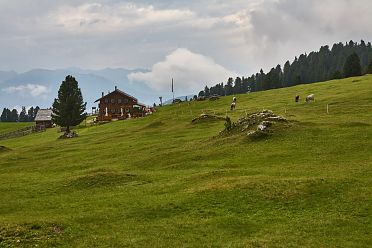 Escursione a Malga Casnago sul sentiero delle Odle