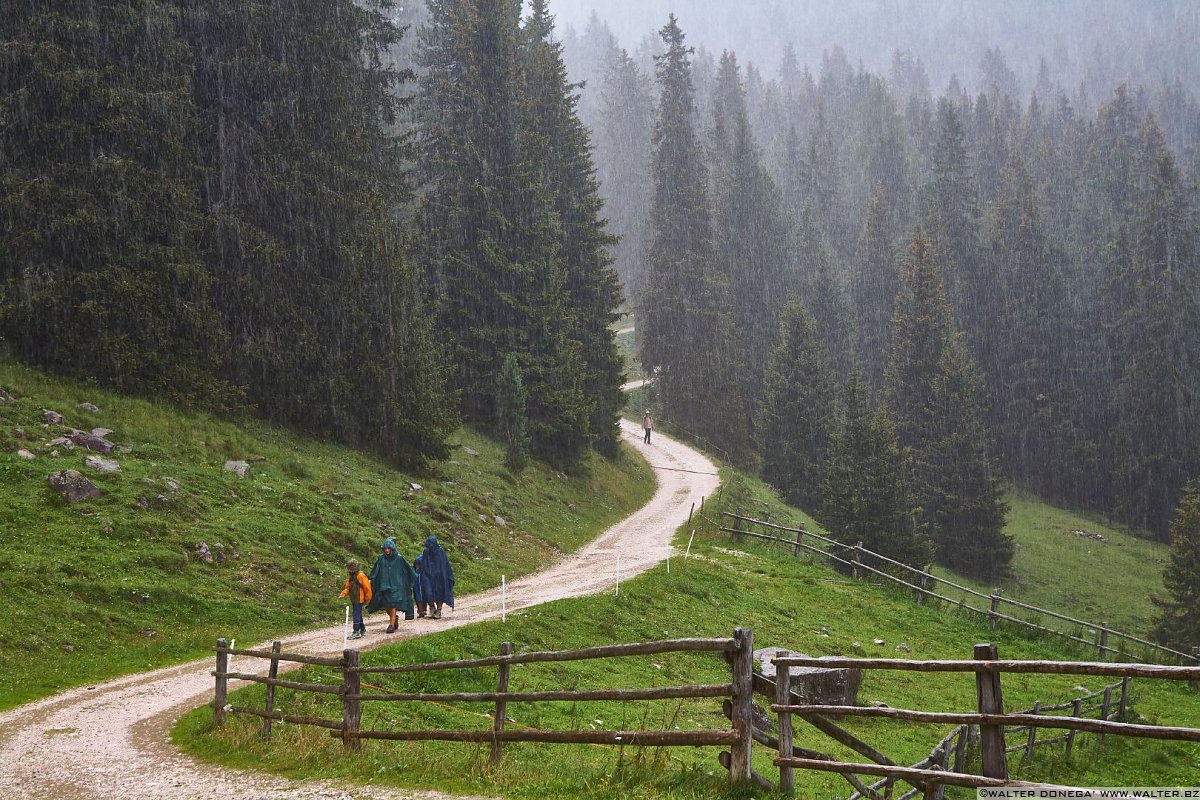 Una fitta pioggia Escursione a Malga Casnago sul sentiero delle Odle