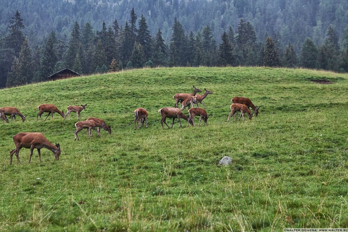  Escursione a Malga Casnago sul sentiero delle Odle