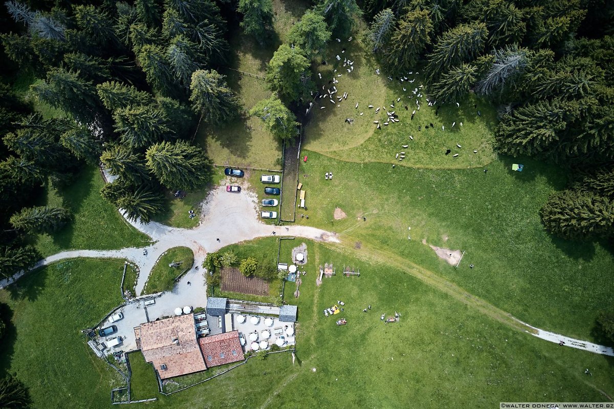 Malga Laner Le malghe di Aldino