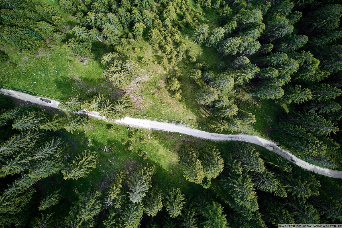 Un tratto della passeggiata Le malghe di Aldino