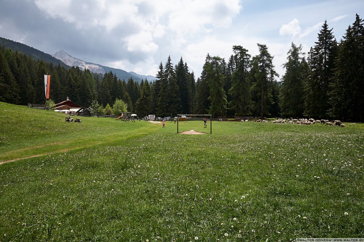 Malga Laner Le malghe di Aldino