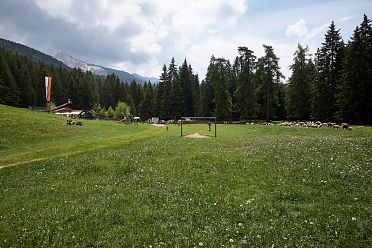 Le malghe di Aldino